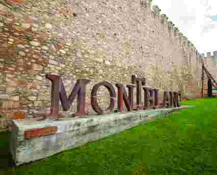 Visita guiada por Montblanc