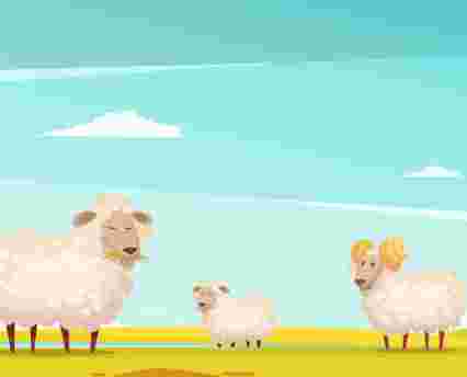 El mundo de las ovejas
